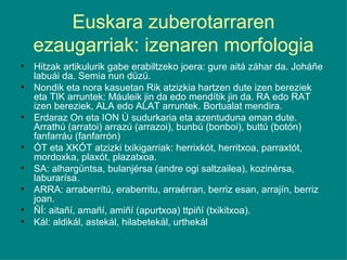 Euskara zuberotarraren ezaugarriak: izenaren morfologia Hitzak artikulurik gabe erabiltzeko joera: gure aitá záhar da. Joháñe labuái da. Semia nun düzü. Nondik eta nora kasuetan Rik atzizkia hartzen dute izen bereziek eta TIK arruntek: Máuleik jin da edo mendítik jin da. RA edo RAT izen bereziek, ALA edo ALAT arruntek. Bortualat mendira. Erdaraz On eta ION Ú sudurkaria eta azentuduna eman dute. Arrathú (arratoi) arrazú (arrazoi), bunbú (bonboi), buttú (botón) fanfarráu (fanfarrón) ÓT eta XKÓT atzizki txikigarriak: herrixkót, herritxoa, parraxtót, mordoxka, plaxót, plazatxoa. SA: alhargüntsa, bulanjérsa (andre ogi saltzailea), kozinérsa, laburarísa. ARRA: arraberrítú, eraberritu, arraérran, berriz esan, arrajín, berriz joan. ÑÍ: aitañí, amañí, amiñí (apurtxoa) ttpiñí (txikitxoa). Kál: aldikál, astekál, hilabetekál, urthekál 