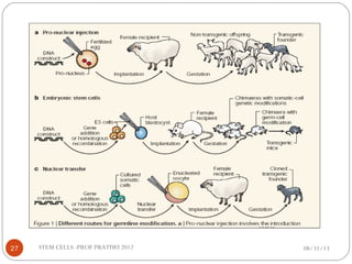 08/31/1327 STEM CELLS -PROF PRATIWI 2012
 