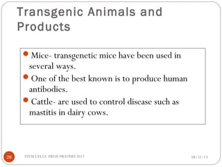 Transgenic Animals and
Products
Mice- transgenetic mice have been used in
several ways.
One of the best known is to produce human
antibodies.
Cattle- are used to control disease such as
mastitis in dairy cows.
08/31/1328 STEM CELLS -PROF PRATIWI 2012
 