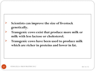  Scientists can improve the size of livestock
genetically.
 Transgenic cows exist that produce more milk or
milk with less lactose or cholesterol.
 Transgenic cows have been used to produce milk
which are richer in proteins and lower in fat.
08/31/1357 STEM CELLS -PROF PRATIWI 2012
 