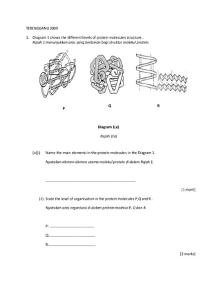 TERENGGANU 2009

1. Diagram 1 shows the different levels of protein molecules structure .
   Rajah 1 menunjukkan aras yang berlainan bagi struktur molekul protein.




                                                    Q                               R
                       P



                                             Diagram 1(a)

                                               Rajah 1(a)



   (a)(i)   Name the main elements in the protein molecules in the Diagram 1.

            Nyatakan elemen-elemen utama molekul protein di dalam Rajah 1.



            ………………………………………………………………………………………

                                                                                        [1 mark]

        (ii) State the level of organisation in the protein molecules P,Q and R .

            Nyatakan aras organisasi di dalam protein molekul P, Q dan R.



            P: ………………………………………….

            Q:…………………………………………..

            R:…………………………………………...

                                                                                        [2 marks]
 