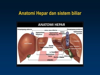 Anatomi Hepar dan sistem biliar
 