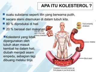 APA ITU KOLESTEROL ?
 suatu substansi seperti lilin yang berwarna putih,
 secara alami ditemukan di dalam tubuh kita.
 80 % diproduksi di hati
 20 % berasal dari makanan
Kolesterol yang tidak
dipergunakan oleh
tubuh akan masuk
kembali ke dalam hati,
diubah menjadi asam
empedu, sebagian lagi
dibuang melalui tinja
 