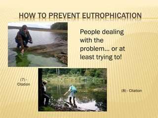 People dealing with the problem… or at least trying to!  (7) - Citation (8) - Citation 