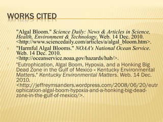 "Algal Bloom."  Science Daily: News & Articles in Science, Health, Environment & Technology . Web. 14 Dec. 2010. <http://www.sciencedaily.com/articles/a/algal_bloom.htm>. "Harmful Algal Blooms."  NOAA's National Ocean Service . Web. 14 Dec. 2010. <http://oceanservice.noaa.gov/hazards/hab/>. "Eutrophication, Algal Boom, Hypoxia, and a Honking Big Dead Zone in the Gulf of Mexico « Kentucky Environmental Matters."  Kentucky Environmental Matters . Web. 14 Dec. 2010. <http://jeffreymsanders.wordpress.com/2008/06/20/eutrophication-algal-boom-hypoxia-and-a-honking-big-dead-zone-in-the-gulf-of-mexico/>. 