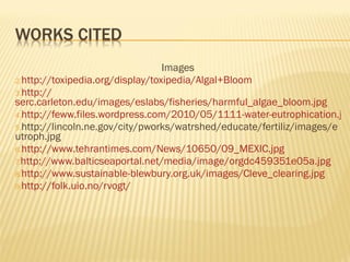 Images http:// toxipedia.org/display/toxipedia/Algal+Bloom http:// serc.carleton.edu/images/eslabs/fisheries/harmful_algae_bloom.jpg http://feww.files.wordpress.com/2010/05/1111-water-eutrophication.jpg http://lincoln.ne.gov/city/pworks/watrshed/educate/fertiliz/images/eutroph.jpg http:// www.tehrantimes.com/News/10650/09_MEXIC.jpg http:// www.balticseaportal.net/media/image/orgdc459351e05a.jpg http:// www.sustainable-blewbury.org.uk/images/Cleve_clearing.jpg http://folk.uio.no/rvogt/ 
