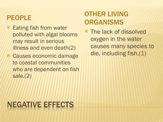 PEOPLE OTHER LIVING ORGANISMS Eating fish from water polluted with algal blooms may result in serious illness and even death(2) Causes economic damage to coastal communities who are dependent on fish sale.(2) The lack of dissolved oxygen in the water causes many species to die, including fish.(1) 