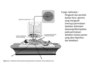 Fungsi kolimator :
Pengarah dan pemilah
berkas Sinar gamma
yang mengarah
(menuju) permukaan
detektor. Kolimator
dipasang/ditempatkan
pada permukaan
detektor (antara pasien
yang akan diperiksa
dan detektor)
 