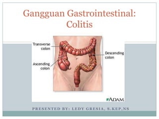 Gangguan Gastrointestinal:
         Colitis




  PRESENTED BY: LEDY GRESIA, S.KEP,NS
 