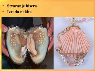 Stvaranje bisera
Izrada nakita
 