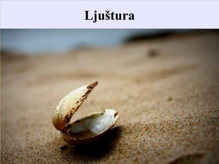 Ljuštura
 