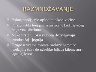    Polno, spoljašnje oplođenje kod većine
   Polažu veliki broj jaja, a razviće je kod najvećeg
    broja vrsta direktno.
   Neke vrste u toku razvića doživljavaju
    preobražaj - jegulja
   Druge u vreme mresta prelaze ogromne
    razdaljine čak i do nekoliko hiljada kilometara -
    jegulje, lososi
 