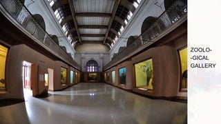 ZOOLO-
-GICAL
GALLERY
 