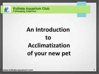 Kolkata Aquarium ClubKolkata Aquarium Club
Fishkeeping Simplified
www.kolkata-aquarium.com 1
An Introduction
to
Acclimatization
of your new pet
 