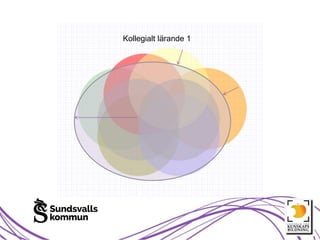 Kollegialt lärande 1
 