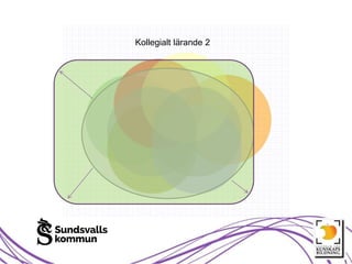 Kollegialt lärande 2
 