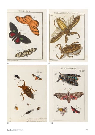 | 83
352
350
351
350
 