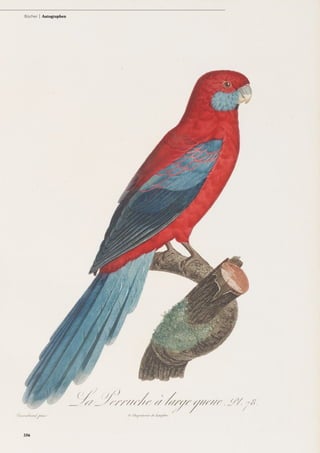 | 88
Bücher | Autographen
356
 