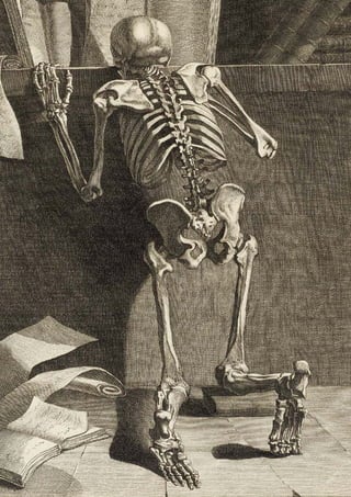 Koller bucher, buchmalerei, auktion