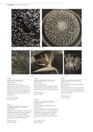 | 78
Photographie | Sammlung Fleischmann
1756
ANTON STANKOWSKI
(1906-1998)
„Waldmeisterchen“, 1934.
Silbergelatine-Abzug auf Agfa-Brovira
Papier. Vintage. Bildmass 22,5 x 17,2 cm;
Träger 37,9 x 31,9 cm. Verso signiert „A.
Stankowski“ und datiert mit Bleistift. Auf
Trägerkarton verso bezeichnet. Unter
Passepartout.
CHF 1 200 / 1 800
(€ 1 000 / 1 500)
1757
ALBERT RENGER-PATZSCH
(1897-1966)
„Mamillania caput Medusae“, 1930er Jahre.
Silbergelatine-Abzug. Vintage. Bildmass
18 x 16,7 cm. Verso handschriftlich
bezeichnet und gestempelt „Folkwang-
Auriga Verlag“. Unter Passepartout.
CHF 800 / 1 200
(€ 670 / 1 000)
1758
ALBERT RENGER-PATZSCH
(1897-1966)
Ananas, 1930er Jahre.
Silbergelatine-Abzug. Vintage. Bildmass
22,9 x 16,8 cm. Verso gestempelt „Folk-
wang-Auriga Verlag“. Unter Passepartout.
CHF 800 / 1 200
(€ 670 / 1 000)
1759
ALBERT RENGER-PATZSCH
(1897-1966)
„Strelitzia Reginae“, Papageienblume,
1930er Jahre.
Getönter Silbergelatine-Abzug. Vintage.
Bildmass 17,2 x 23 cm. Verso handschrift-
lich bezeichnet, gestempelt „Folkwang-
Verlag Photogr. Bildstelle und Archiv
Darmstadt Rosenhöhe“. Unter Passepar-
tout.
CHF 1 000 / 1 500
(€ 830 / 1 250)
1760
ALBERT RENGER-PATZSCH
(1897-1966)
„Monstera deliciosa. (Arareae) Mexiko.“,
1930er Jahre.
Silbergelatine-Abzug. Vintage. Bildmass
23 x 17,1 cm. Verso handschriftlich be-
zeichnet, gestempelt „Folkwang-Verlag“.
Unter Passepartout.
CHF 800 / 1 200
(€ 670 / 1 000)
1757
1758 1759 1760
1756
 