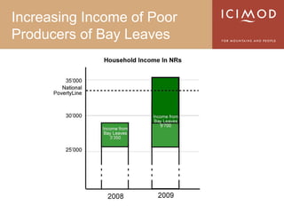 Increasing Income of Poor
Producers of Bay Leaves
 