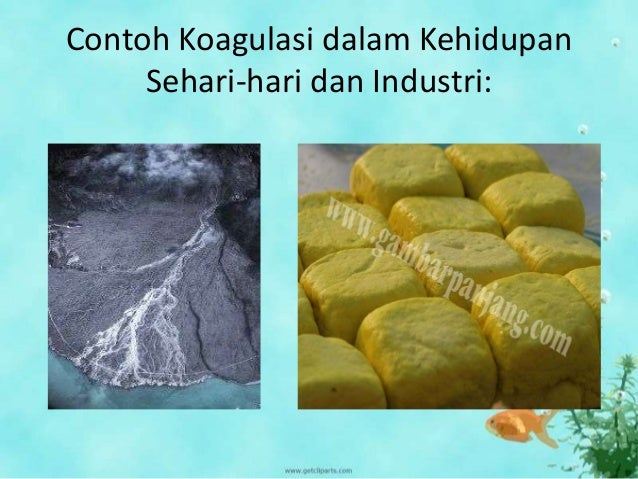 Koloid