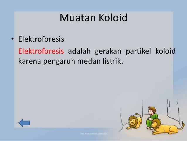 Koloid
