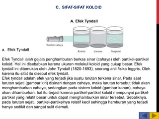 a. Efek Tyndall
Efek Tyndall ialah gejala penghamburan berkas sinar (cahaya) oleh partikel-partikel
koloid. Hal ini disebabkan karena ukuran molekul koloid yang cukup besar. Efek
tyndall ini ditemukan oleh John Tyndall (1820-1893), seorang ahli fisika Inggris. Oleh
karena itu sifat itu disebut efek tyndall.
Efek tyndall adalah efek yang terjadi jika suatu larutan terkena sinar. Pada saat
larutan sejati (gambar kiri) disinari dengan cahaya, maka larutan tersebut tidak akan
menghamburkan cahaya, sedangkan pada sistem koloid (gambar kanan), cahaya
akan dihamburkan. hal itu terjadi karena partikel-partikel koloid mempunyai partikel-
partikel yang relatif besar untuk dapat menghamburkan sinar tersebut. Sebaliknya,
pada larutan sejati, partikel-partikelnya relatif kecil sehingga hamburan yang terjadi
hanya sedikit dan sangat sulit diamati.
C. SIFAT-SIFAT KOLOID
 