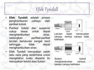 Efek Tyndall
• Efek Tyndall adalah proses
penghamburan cahaya oleh
partikel koloid.
• Partikel koloid dan suspensi
cukup besar untuk dapat
menghamburkan sinar,
sedangkan partikel-partikel
larutan berukuran sangat kecil
sehingga tidak dapat
menghamburkan sinar.
• Efek Tyndall merupakan salah
satu cara yang sederhana untuk
mengetahui suatu dispersi itu
merupakan koloid atau bukan.
Larutan sejati meneruskan
cahaya, berkas cahaya tidak
kelihatan
Sistem koloid
menghamburkan cahaya,
berkas cahaya kelihatan
 