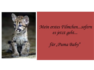 Mein erstes Filmchen...sofern es jetzt geht...  für „Puma Baby“   
