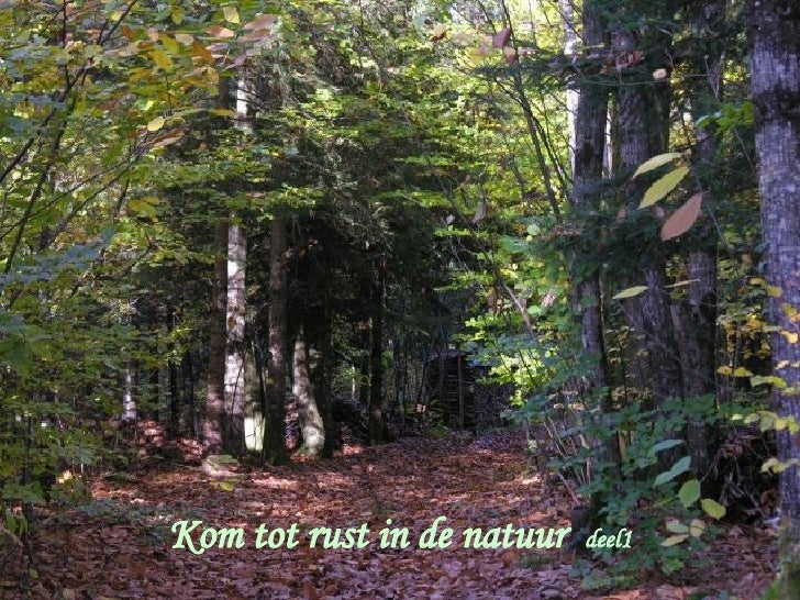 Kom tot rust in de natuur  deel1 