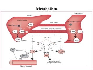 Metabolism
8
 
