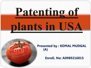 Presented by : KOMAL MUDGAL
(A)
Enroll. No: A0989216015
Patenting of
plants in USA
 