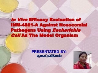 In Vivo Efficacy Evaluation of
INM-4801-A Against Nosocomial
Pathogens Using Escherichia
Coli As The Model Organism
PRESENTATED BY:
Komal Siddhartha
 