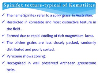 Spinifex texture-typical of Komatiites
 The name Spinifex refer to a spiky grass in Australian.
 Restricted in komatiite and most distinctive feature in
the ﬁeld .
 Formed due to rapid cooling of rich magnesium lavas.
 The olivine grains are less closely packed, randomly
distributed and poorly sorted.
 Pyroxene shows zoning.
 Recognized in well preserved Archaean greenstone
belts.
 
