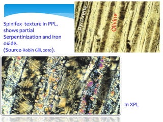 Spinifex texture in PPL.
shows partial
Serpentinization and iron
oxide.
(Source-Robin Gill, 2010).
In XPL
 