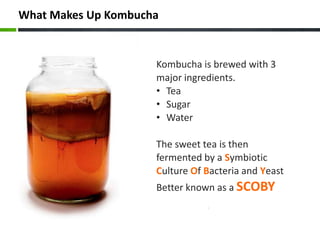 Symbrotic Tea Kombucha | PDF