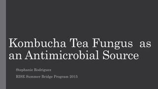 Kombucha Tea Fungus as
an Antimicrobial Source
Stephanie Rodriguez
RISE Summer Bridge Program 2015
 
