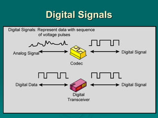 Digital Signals 