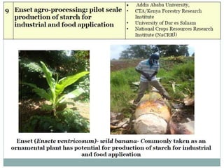 Prospects for bioresources innovations development in eastern Africa