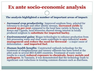 Prospects for bioresources innovations development in eastern Africa