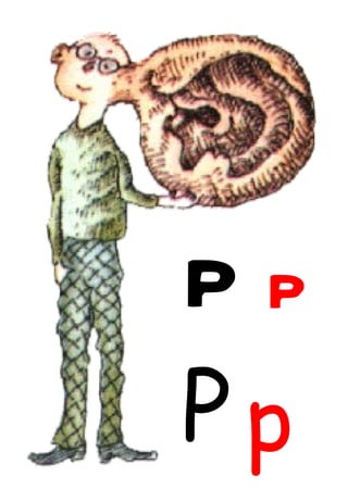 P p P p 