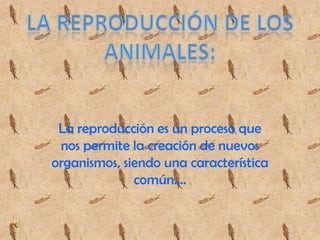 La reproducción es un proceso que
 nos permite la creación de nuevos
organismos, siendo una característica
              común….
 