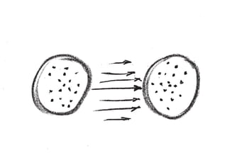 Symbolisch generalisierte Kommunikationsmedien