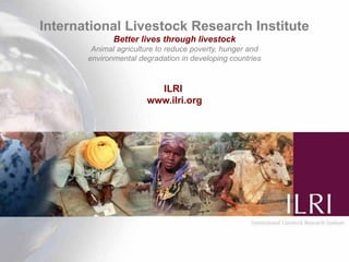 Finding and managing livestock research information 