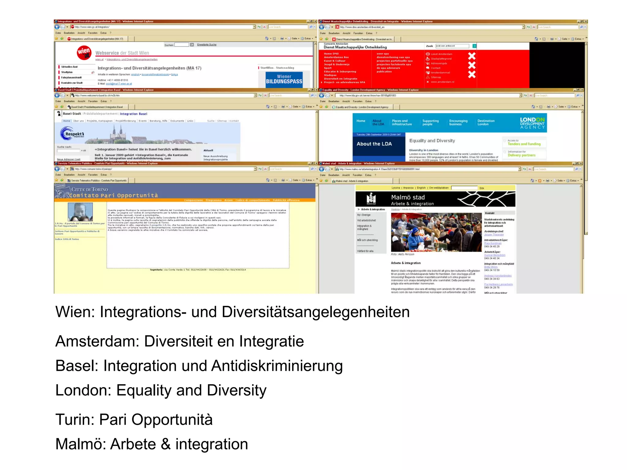 Wien: Integrations- und Diversitätsangelegenheiten
Amsterdam: Diversiteit en Integratie
Basel: Integration und Antidiskriminierung
London: Equality and Diversity
Turin: Pari Opportunità
Malmö: Arbete & integration
 