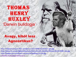 Thomas  Henry Huxley ‘Darwin bulldogja’ Avagy, kiből lesz  Agnosztikus? http://religioncompass.files.wordpress.com/2008/10/darwin-ape.jpg http://www.sil.si.edu/digitalcollections/hst/scientific-identity/fullsize/SIL14-H006-16a.jpg http://images.pictureshunt.com/pics/b/bulldog-13134.jpg + Adobe Photoshop Elements 5 