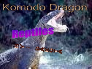 By: Dakota Komodo Dragon Reptiles 