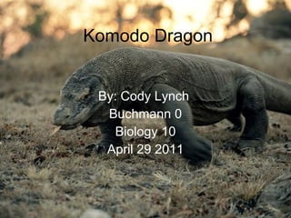 Komodo Dragon By: Cody Lynch  Buchmann 0 Biology 10 April 29 2011 
