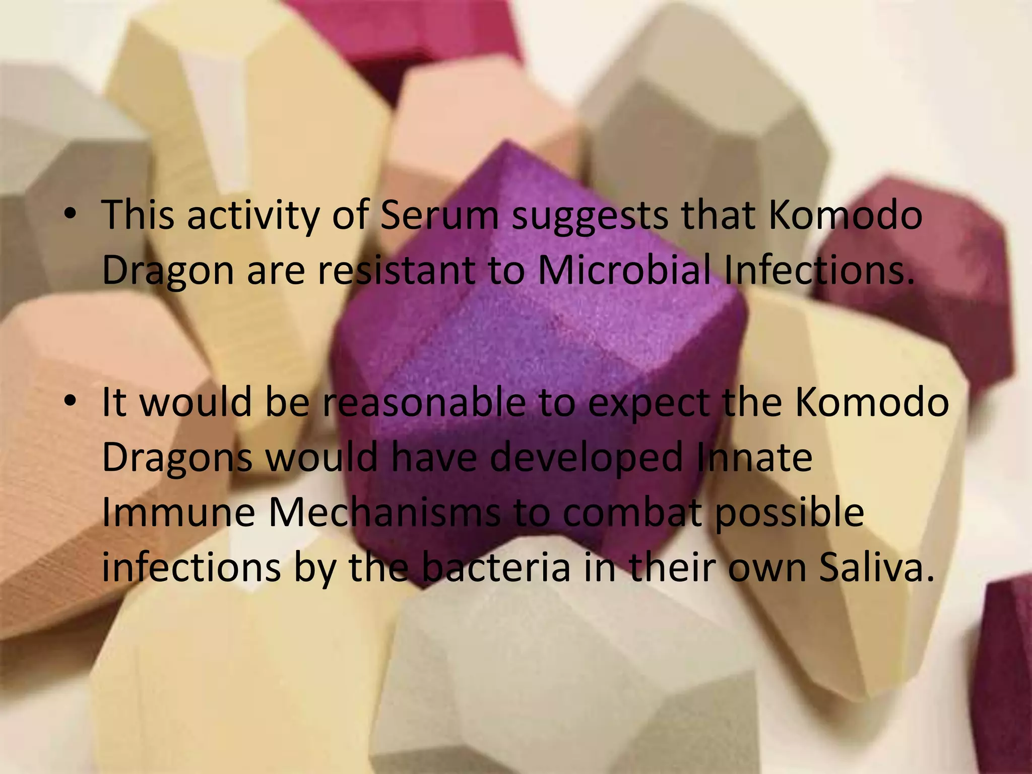 The Truth About Owning A Komodo Dragon Revealed - 5l3vfc5